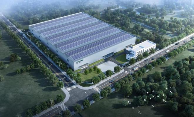 科技賦能漁業新篇:石斑魚養殖“夢工廠”在滬開工